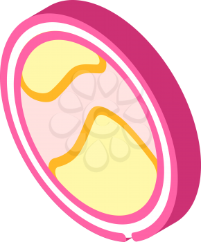 atherosclerosis heart isometric icon vector. atherosclerosis heart sign. isolated symbol illustration