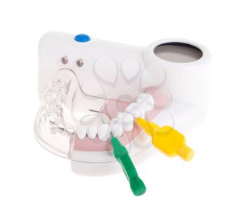 Royalty Free Photo of a Portable Dental Model