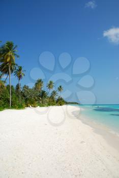 Royalty Free Photo of Maldives Beach