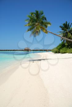 Royalty Free Photo of a Beach in a Maldivian Island