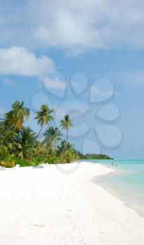 Royalty Free Photo of a Beach in a Maldivian Island