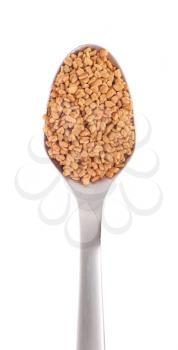 Royalty Free Photo of a Spoonful of Fenugreek Seeds