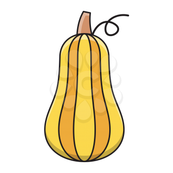 Royalty-free Clipart image of a squash. Autumn vegetable