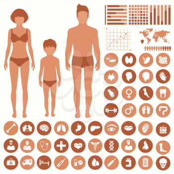vector medical infographic, human body anatomy, health vector icons