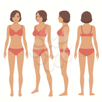  fashion woman isolated, front, back and side view, vector illustration 