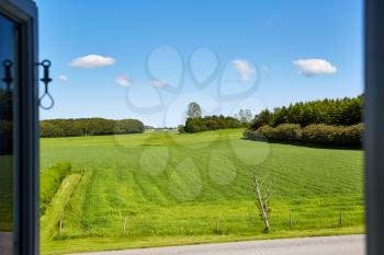 farm field with tall grass and blue sky