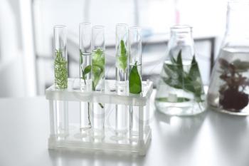 Test tubes with plants in holder on table�