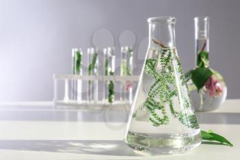 Glass flask with plant on table�