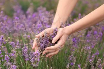 Beautiful young woman touching lavender in field on summer day�