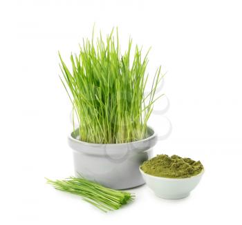 Fresh wheat grass in pot with powder on white background�