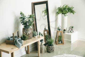 Stylish room interior with mirror and houseplants near white wall�