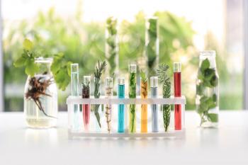 Test tubes with plants and liquids in holder on table�