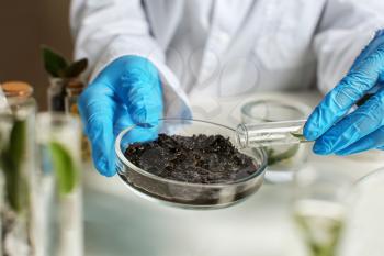 Scientist working with soil in laboratory�