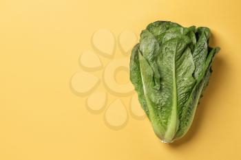 Fresh cabbage on color background�