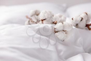 Branch with cotton flowers on bed�