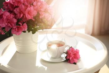 Pot with beautiful blooming azalea and cup of tea on table�