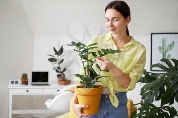Young woman with beautiful houseplant in pot at home�