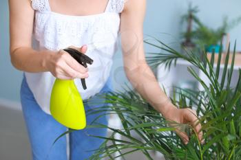 Young woman spraying water on houseplant at home, closeup�