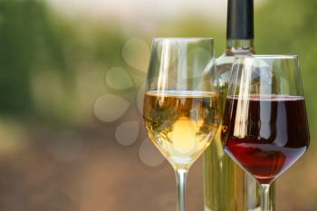 Glasses and bottle of tasty wine in vineyard�