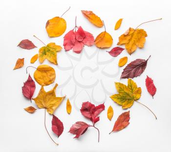 Frame made of autumn leaves on white background�
