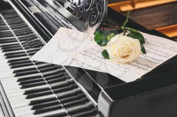 Beautiful rose and note sheets on grand piano, closeup�
