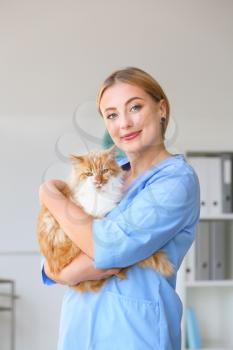 Female veterinarian with cute cat in clinic�