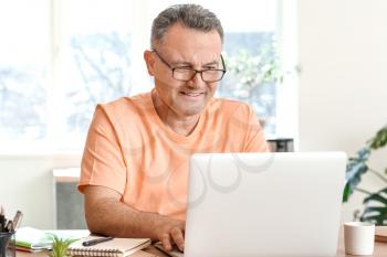 Mature man using laptop at home�