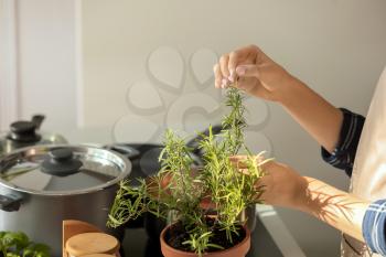 Woman picking fresh rosemary in kitchen�