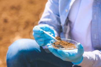 Scientist studying samples of soil in field, closeup�