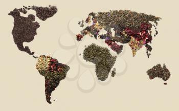 World map made of dry tea on light background�
