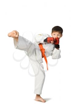 Royalty Free Photo of a Young Boy Doing Martial Arts
