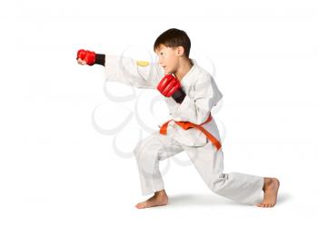 Royalty Free Photo of a Young Boy Doing Martial Arts