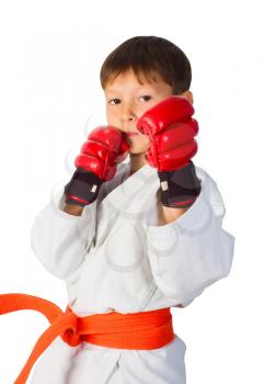 Royalty Free Photo of a Young Boy Doing Martial Arts