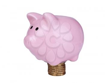 Pink piggy bank  on the rouleau  isolated on white background 