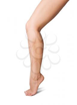
image of smooth,sexy and beautiful female legs isolated on white
