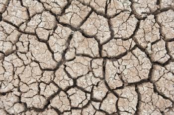 Dry soil texture of a barren land