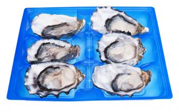 half a dozen oysters in blue box isolated on white background
