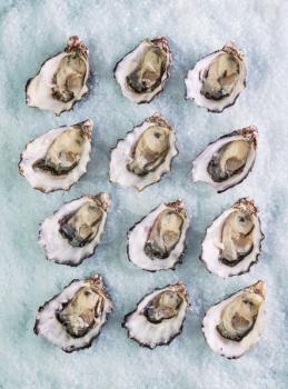 dozen fresh oysters on a sea salt top view