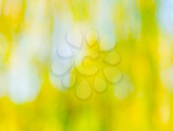 Beautiful summer or autumn blurred  natural bokeh background