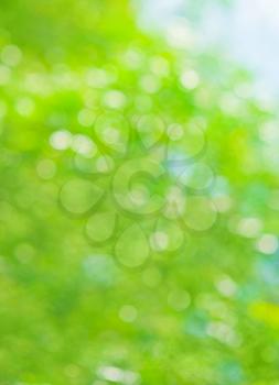 Beautiful summer or spring  abstract natural bokeh background 