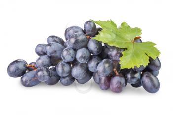 bunch of ripe black grapes with leaves  isolated on  white background