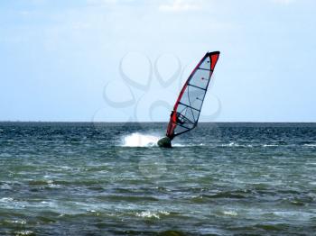 Royalty Free Photo of a Windsurfer