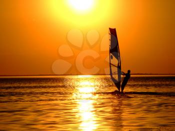 Royalty Free Photo of a Windsurfer at Sunset