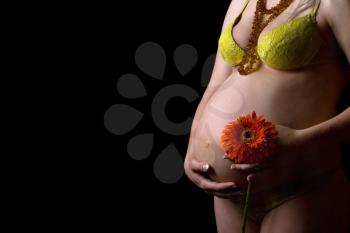 Royalty Free Photo of a Pregnant Woman