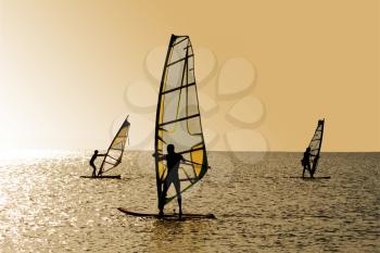 Royalty Free Photo of a Windsurfer