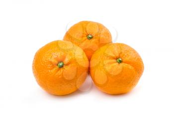 Three sweet mandarins fruit on white background