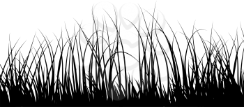 Royalty Free Clipart Image of a Grass Silhouette 