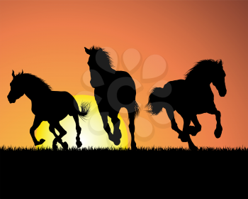 Royalty Free Clipart Image of Horses at Sunset 