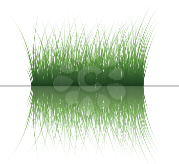 Vector grass silhouettes background with reflection in water. All objects are separated.