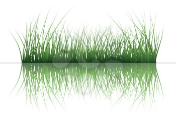 Vector grass silhouettes background with reflection in water. All objects are separated.